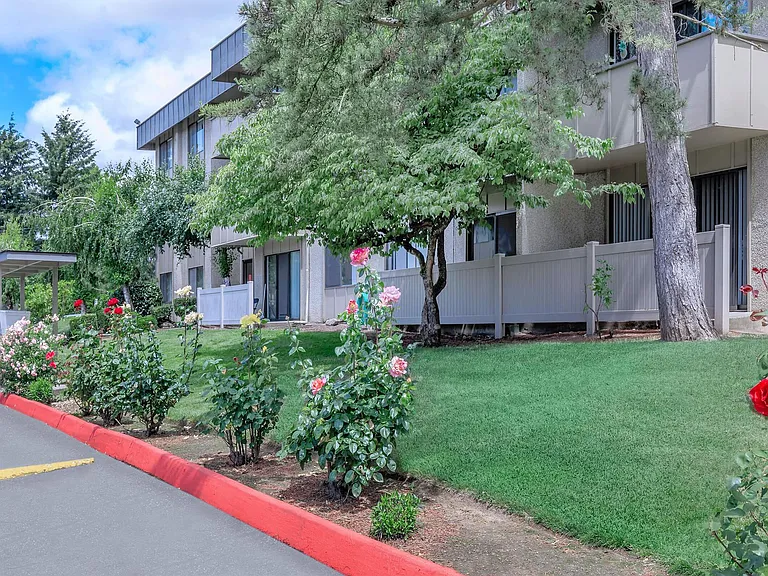 Summerhill Apartments — Photo 6