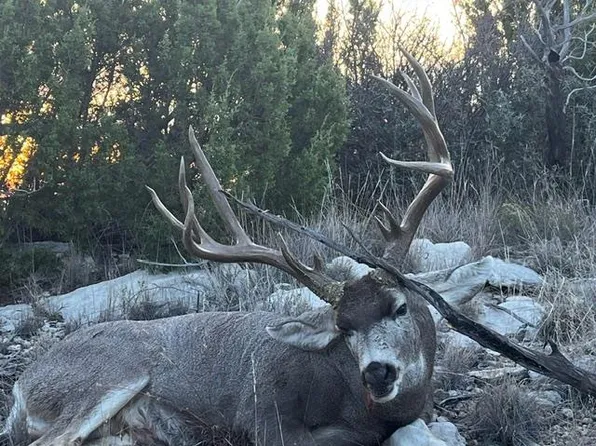 906 County Road 235, Aspermont, TX 79502