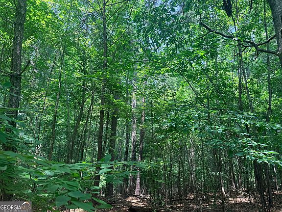 4th image of 1573 Norris Lake Way
