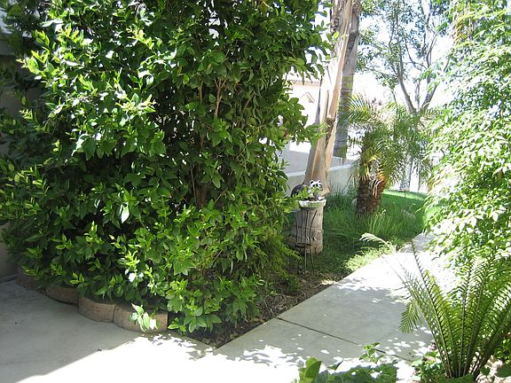 Walk way to front door
