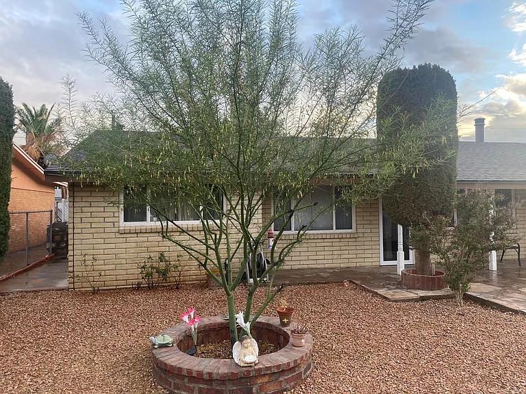 7116 Orange Tree Ln — Photo 2