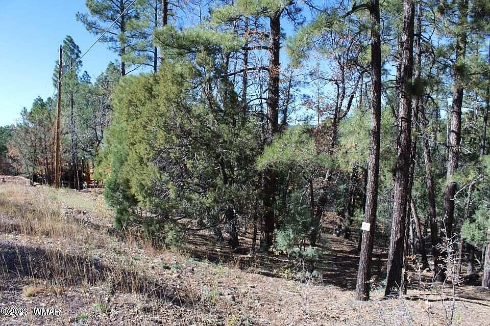 2nd image of W Lot 47 & 48 Whispering Pines Ln