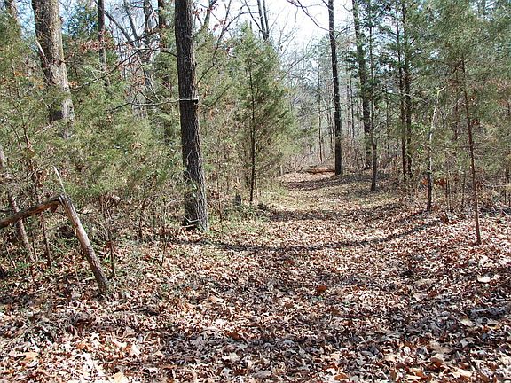 4th image of Paradise Ln #~24.89a