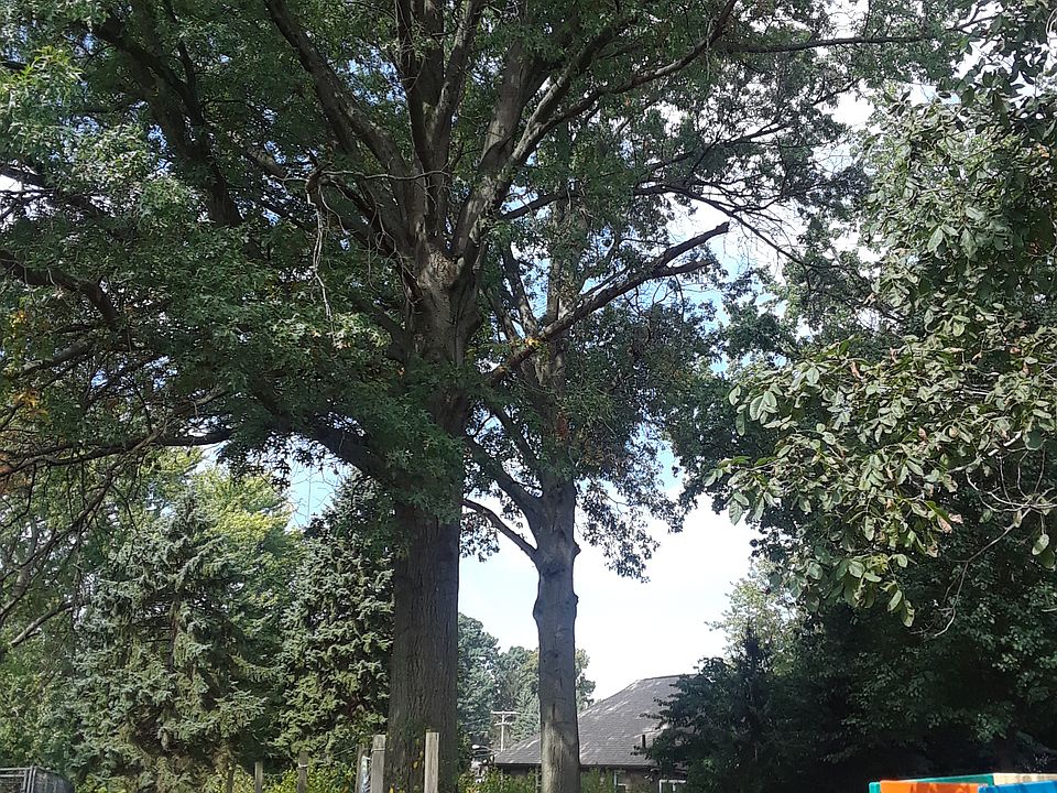 Plenty of room for kids to play