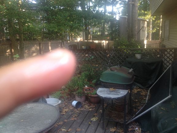 3rd image of 6600 Bestwicke Ct