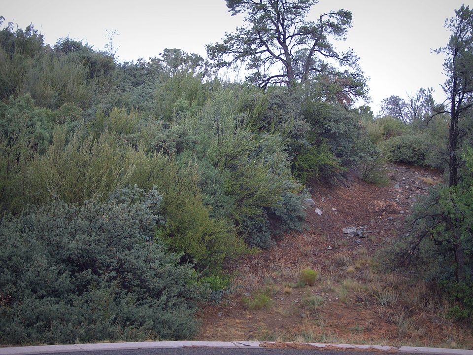 1st image of 536 Sleepyhollow Cir