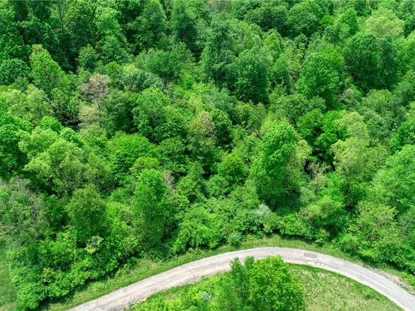 63590 Wintergreen Rd, Lore City, OH 43755