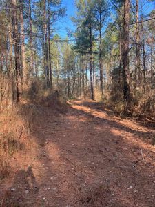 2 Poplar Springs Rd, Wagener, SC, 29164