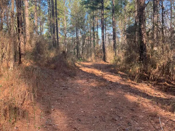 2 Poplar Springs Rd, Wagener, SC 29164
