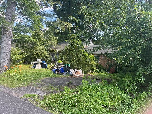 3rd image of 800 Magnolia Ave
