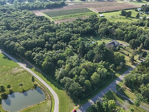 2nd image of Commons Rd