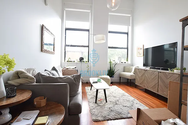 Rented by null | media 47