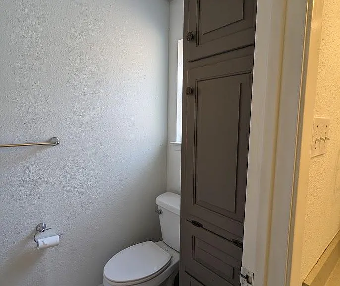 Main Bedroom Toilet/Shower Area
