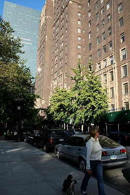 Sold by Kirk Enterprises | media 6