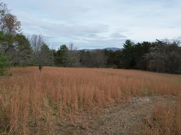 359 Bertha Farms Rd, Barren Springs, VA 24313