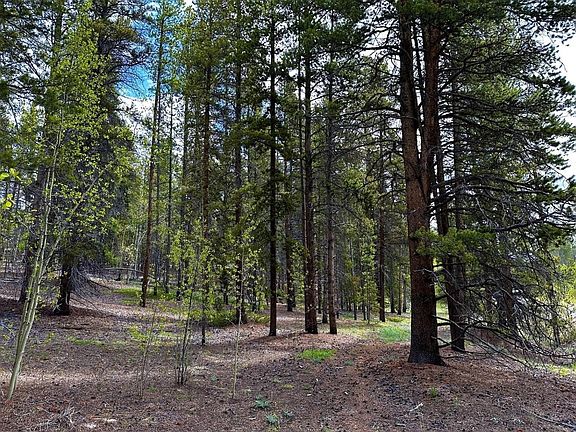 4th image of 1225 Mountain View Drive