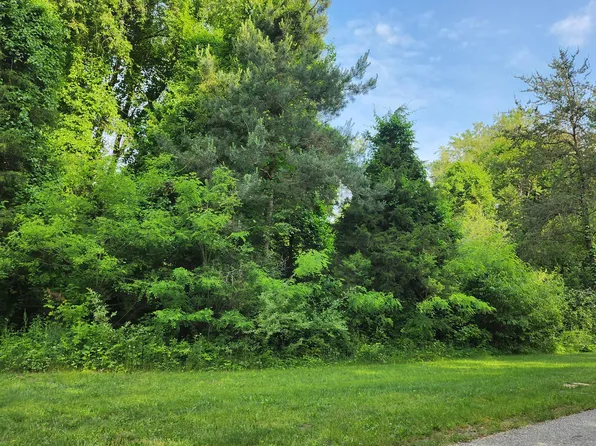 6591 Phoenix Ct, Alto, MI 49302