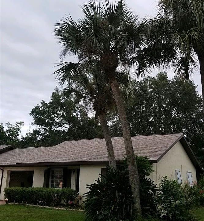 1st image of 105 Jasmine St