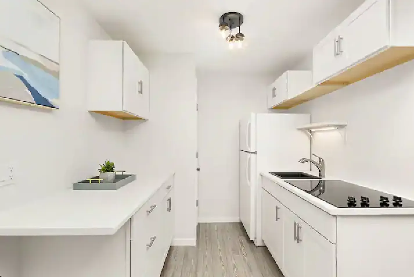 Studio, 277 sqft, $4,500 — Photo 2