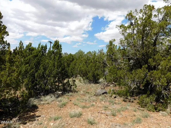 8378 Pinon Dr, Show Low, AZ 85901