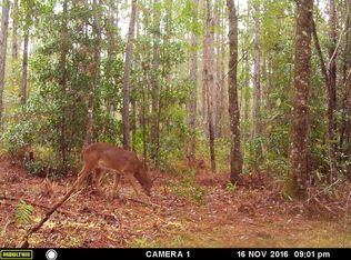 5650 Lisa Lynn Rd, Keystone Heights, FL 32656