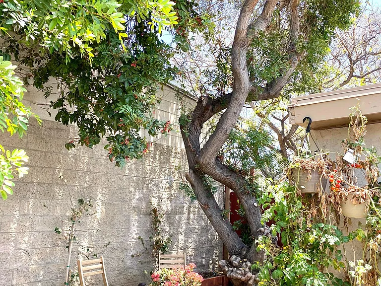 Private side yard exclusive to this unit