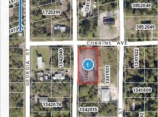 0 Virginia St, Paisley, FL 32767
