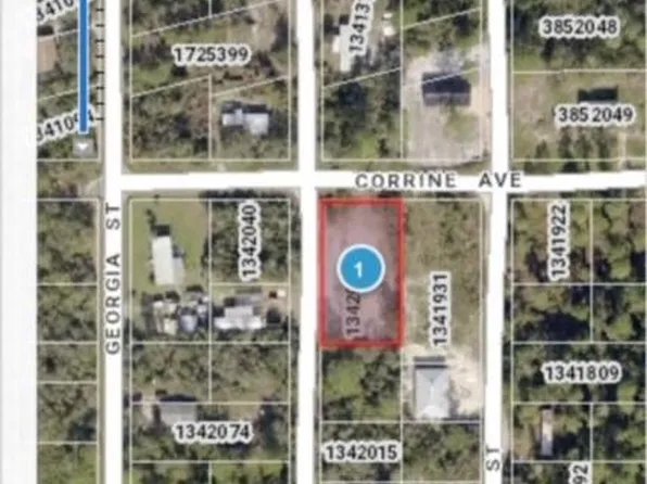 0 Virginia ST, PAISLEY, FL 32767