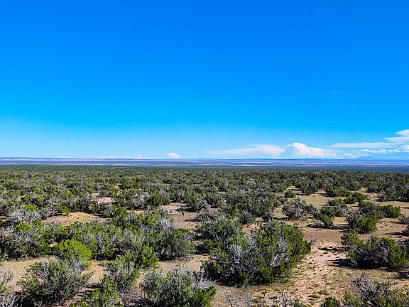 4th image of TBD Co Rd N7480 40 Acres -- #-