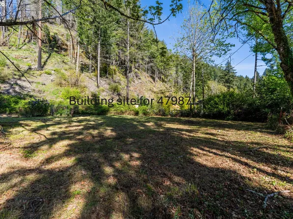 47987 McKenzie Hwy, Vida, OR 97488