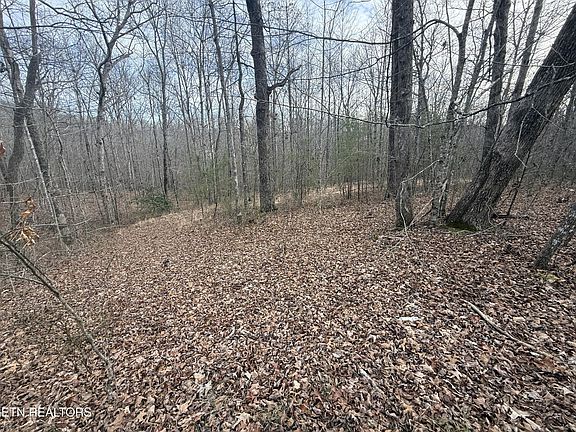 2nd image of 17 T Pl Lot 17