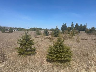 Laurel Ln, Baileys Harbor, WI, 54202