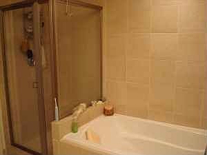 Master bathroom w/ shower and seperate soaking tub