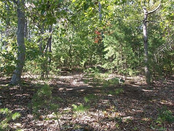 5th image of 153 Moss Bank Ct