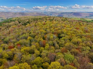 8018 Shadow Tree Ln, Avoca, NY 14810