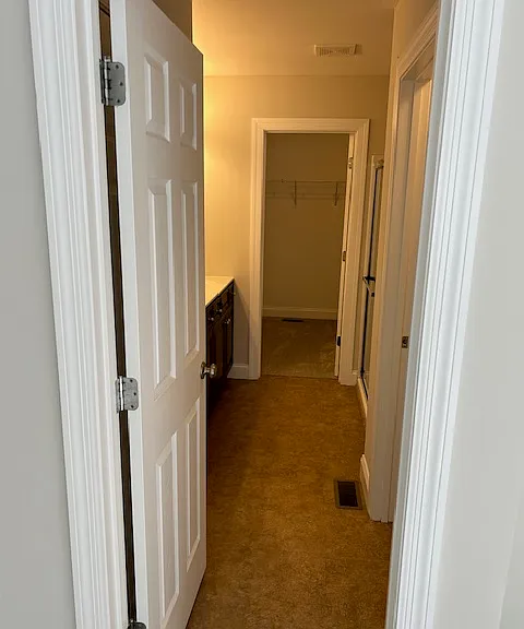 Owner's Bath