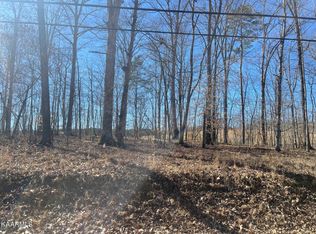 41 Halfmoon Shores Dr, Ten Mile, TN 37880