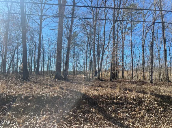 41 Halfmoon Shores Dr, Ten Mile, TN 37880