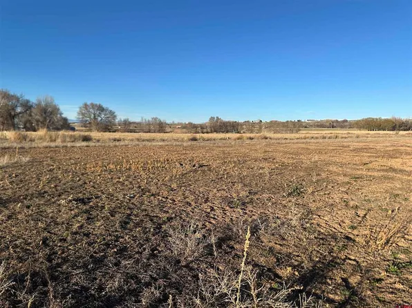 TBD Lot 2 5800 Road, Montrose, CO 81403