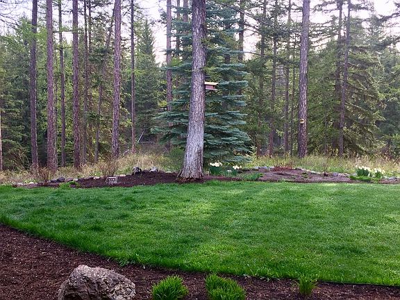 Partial view of back yard off the kitchen