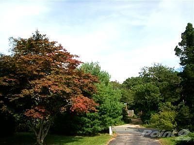 Private tree-lined driveway