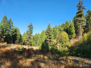 95 Dreyer Ln, Republic, WA 99166