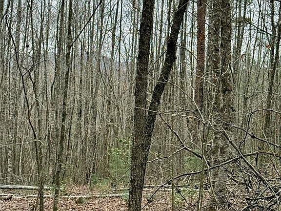 4th image of 807 E Ridge Ln #22