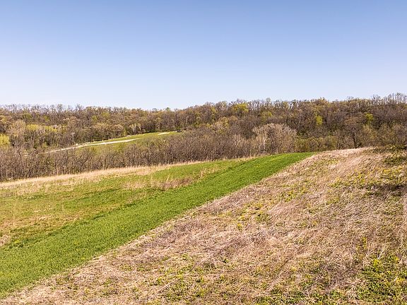 5th image of Colony Rd