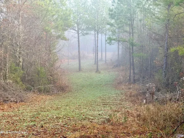 960 Old 51 Rd, Pickens, MS 39146