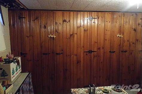 Great Storage in Basement