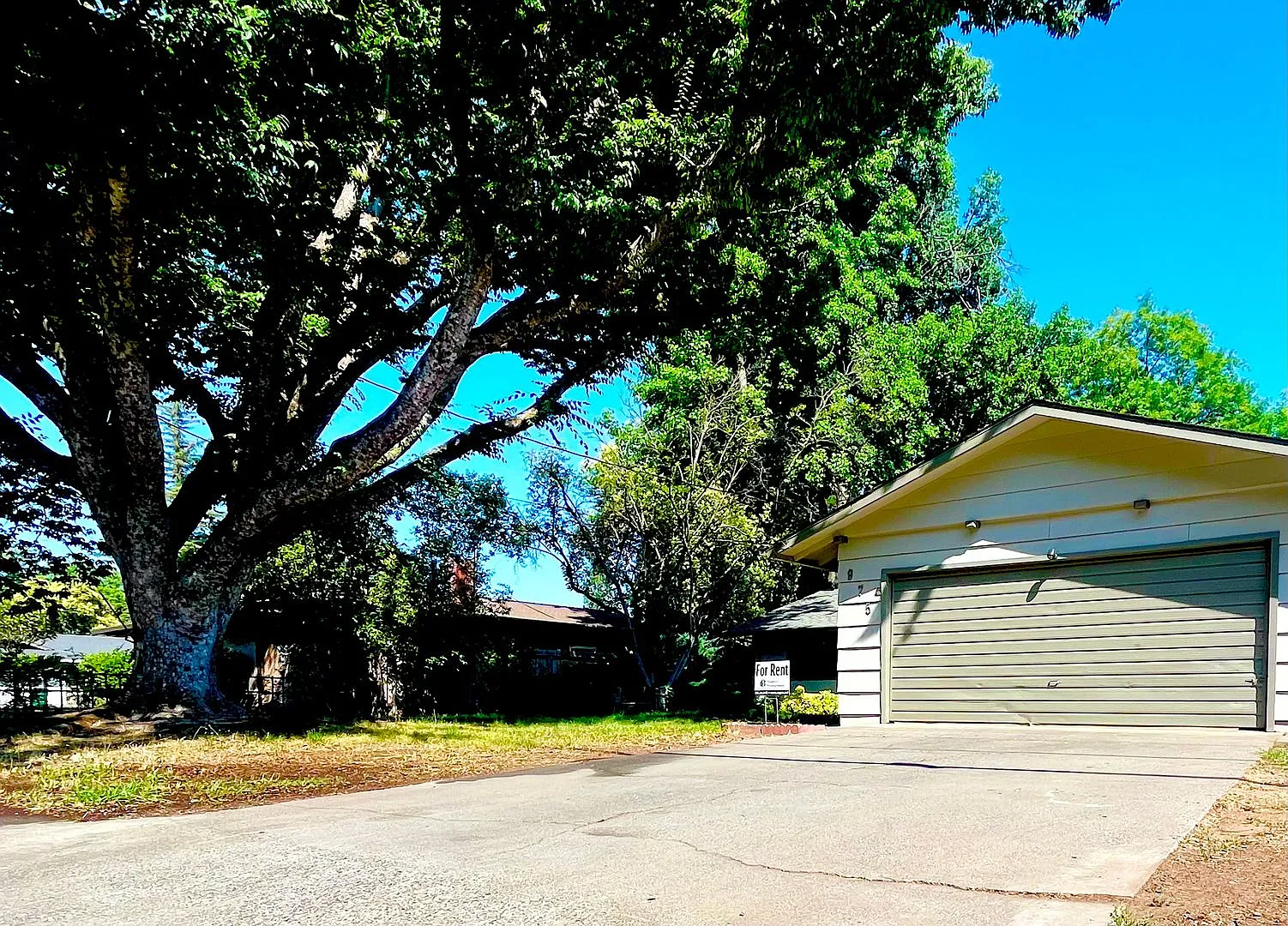 3 Bedroom Home with a Backyard!! — Photo 3