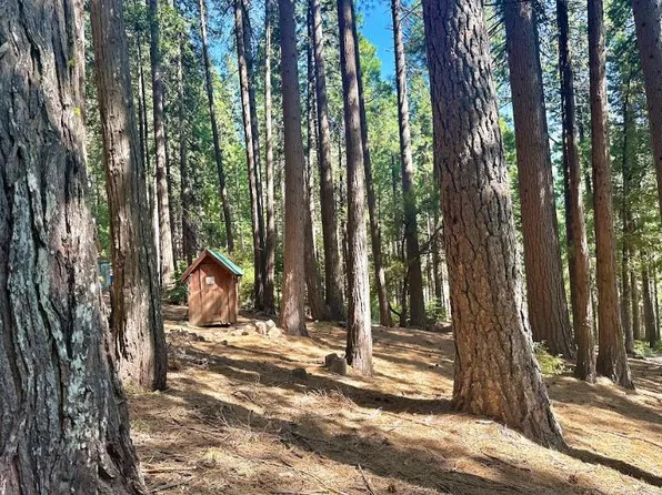 68 Por Lot N, Sierra City, CA 96125