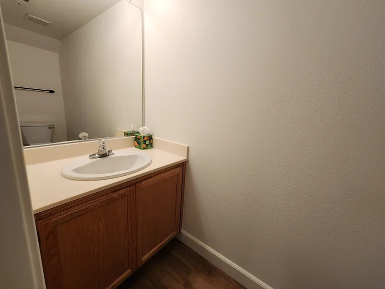 539 Torrey Pine Ln — Photo 18