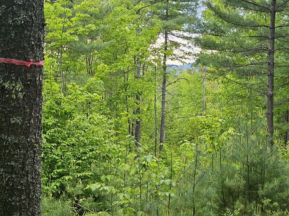 5th image of M10L44 Mountain View Road